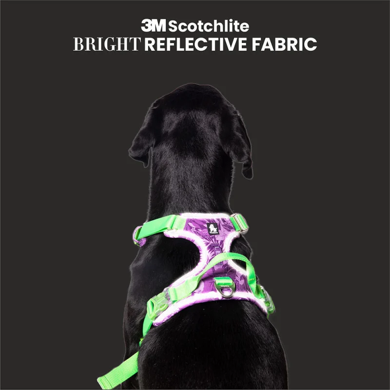 Truelove No Pull Special Edition Harness for Dogs — back view