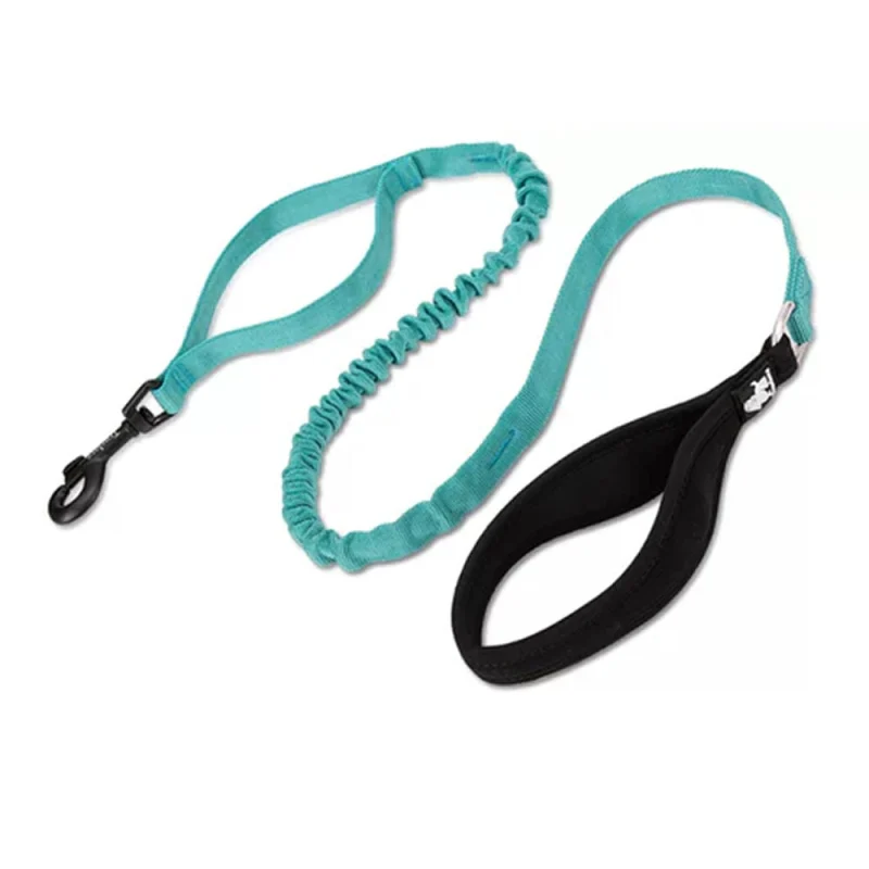 Truelove Bunjee Leash for Dogs — side view