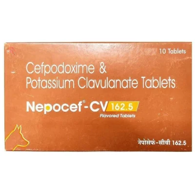 Ttk Nepocef CV 162.5mg (Cefpodoxime Proxetil & Potassium Clavulanate) Tablet for Dogs and Cats