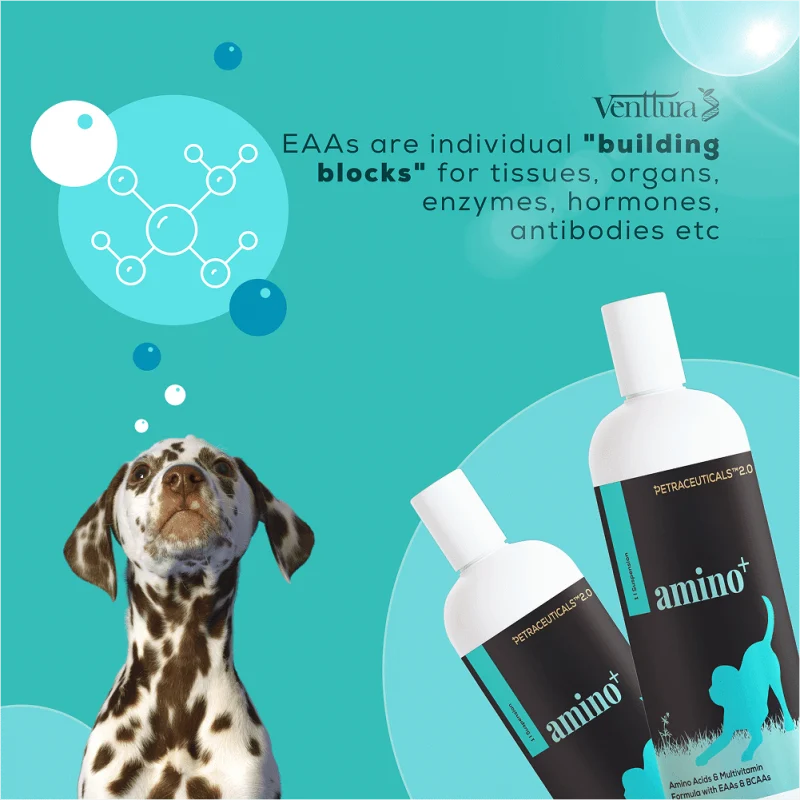 Venttura Amino Plus Syrup for Dogs — in use