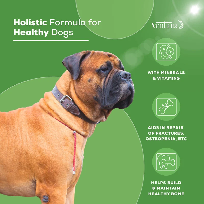 Venttura Calci Pro Plus Chewable Calcium Supplement Tablets for Dogs — side view
