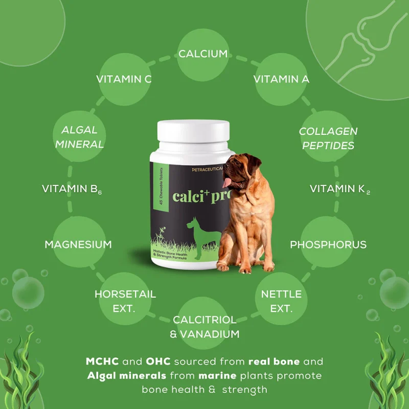 Venttura Calci Pro Plus Chewable Calcium Supplement Tablets for Dogs — detail shot