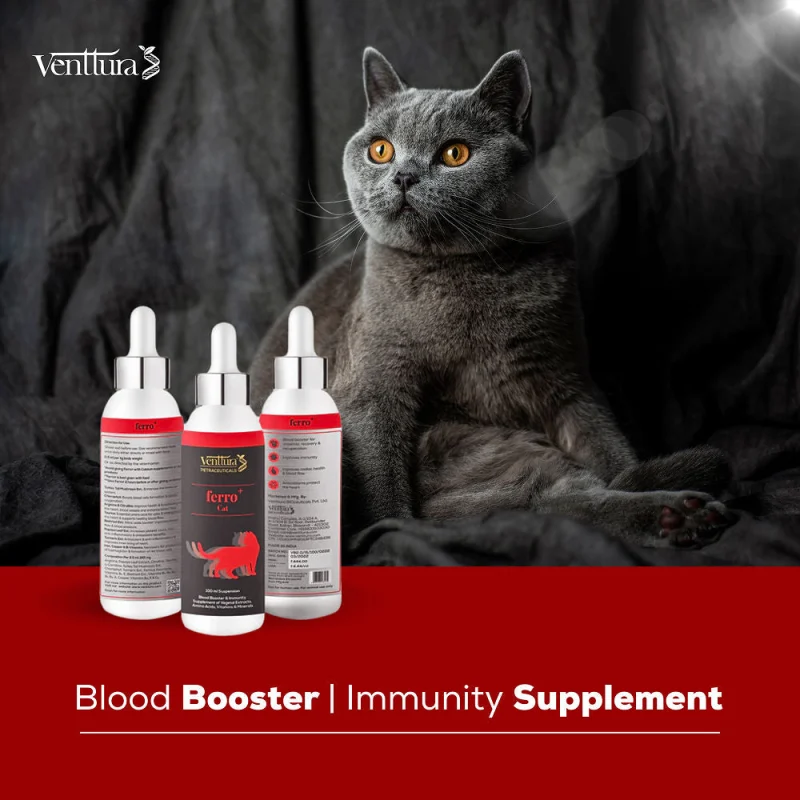Venttura Ferro Blood Booster & Immunity Supplement for Cats — detail shot