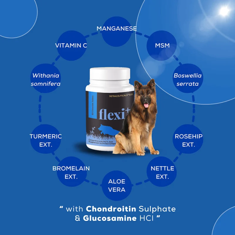 Venttura Flexi Plus Hip and Joint Chewable Tablets for Dogs — side view