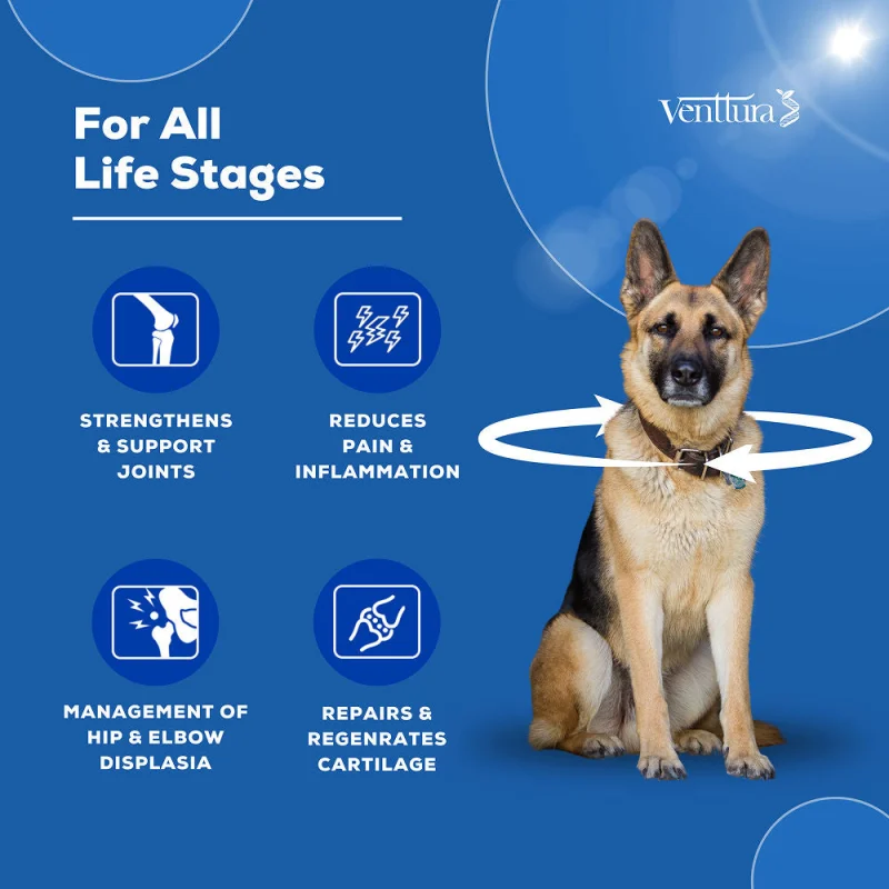 Venttura Flexi Plus Hip and Joint Chewable Tablets for Dogs — detail shot