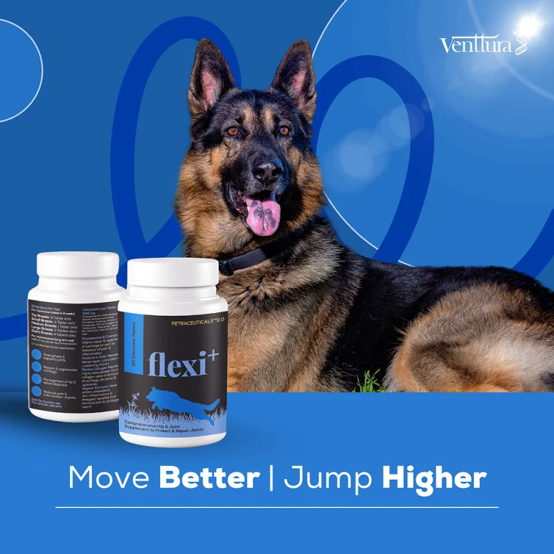Venttura Flexi Plus Hip and Joint Chewable Tablets for Dogs — in use