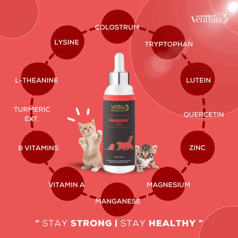 Venttura Immunity Booster & Calming Supplement for Cats — side view
