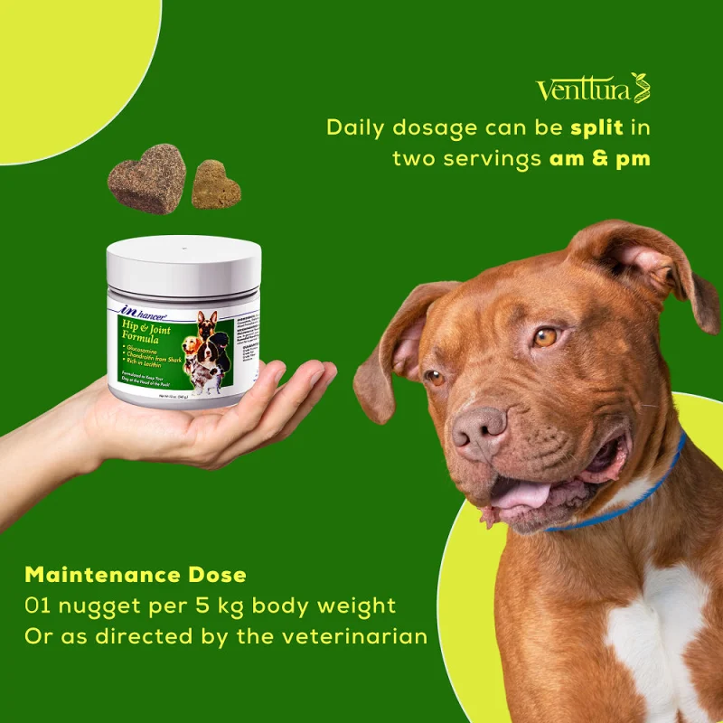 Venttura Inhancer Hip & Joint Soft Nuggets Supplements for Dogs — detail shot