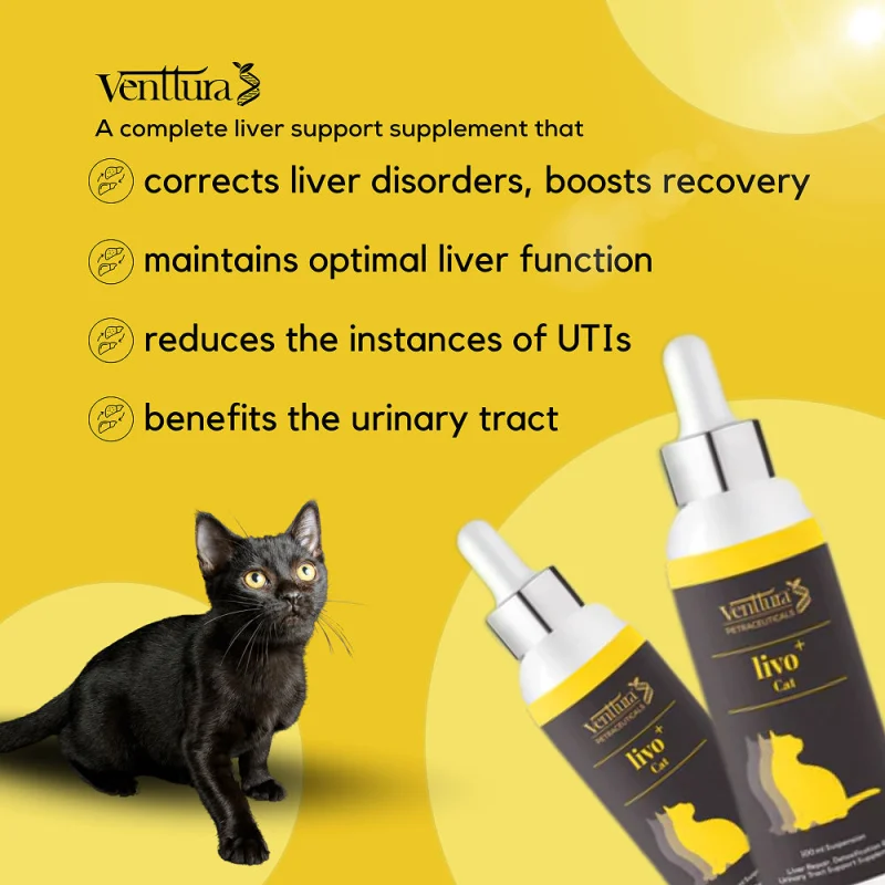 Venttura Liver Repair, Support Recovery & Recuperation Supplement for Cats — back view
