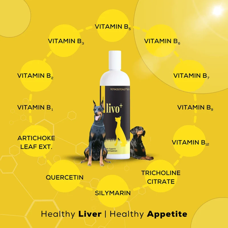 Venttura Livo Plus Liver Supplement Syrup for Dogs — detail shot