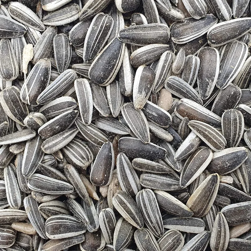 Versele Laga Sunflower Seeds Striped for Birds — side view