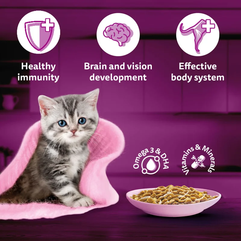 Whiskas Tasty Mix Chicken Tuna with Sweet Potato Kitten Cat Wet Food — back view