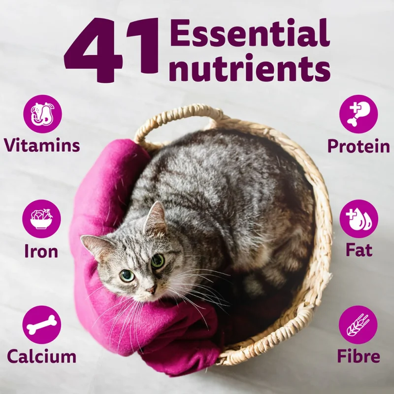 Whiskas Tuna Flavour Adult Cat Dry Food — in use